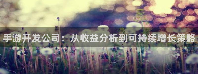 摩根娱乐官网：手游开发公司：从收益分析到可持续增长策略