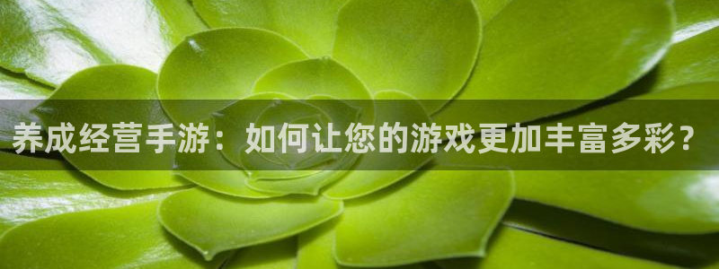 摩根娱乐官网入口：养成经营手游：如何让您的游戏更加丰富多彩？