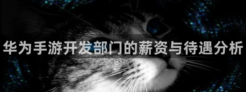 摩根娱乐官网入口：华为手游开发部门的薪资与待遇分析