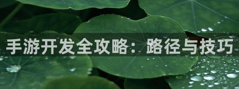 摩根娱乐网址大全：手游开发全攻略：路径与技巧