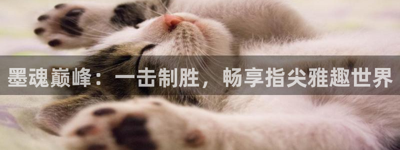 摩根娱乐是正规合法的吗是真的吗知乎：墨魂巅峰：一击制胜，畅享