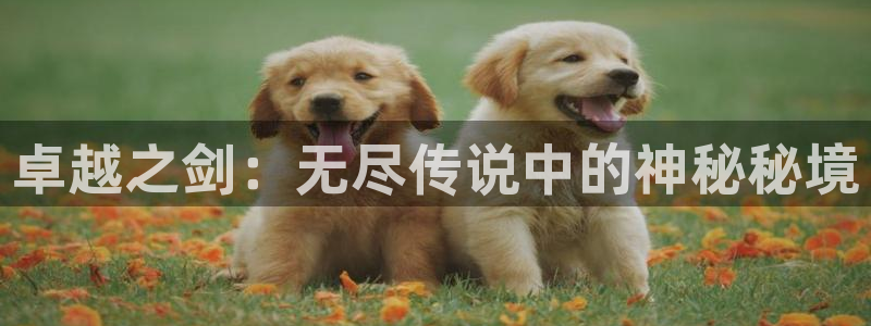 摩根娱乐官网入口下载：卓越之剑：无尽传说中的神秘秘境