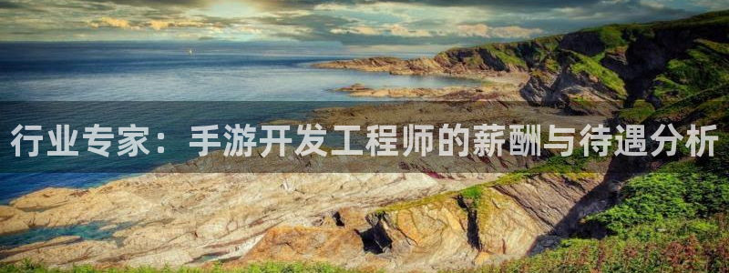 摩根娱乐是什么：行业专家：手游开发工程师的薪酬与待遇分析