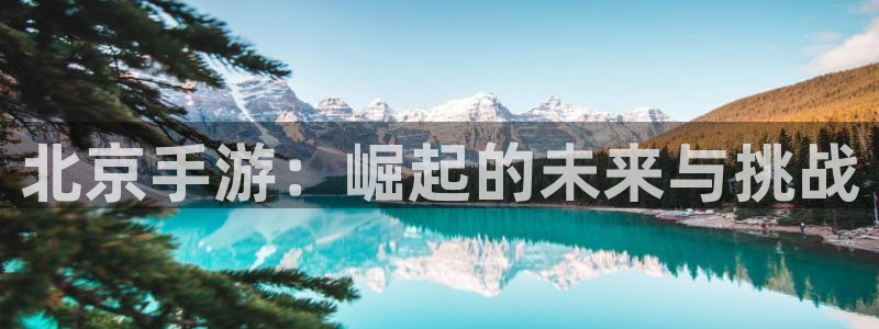 摩根娱乐网址是什么：北京手游：崛起的未来与挑战