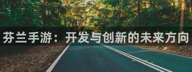 摩根娱乐云挂机教程：芬兰手游：开发与创新的未来方向