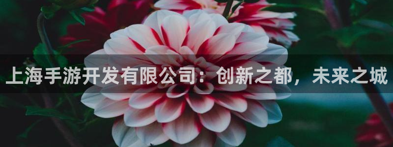 摩根娱乐app下载官网：上海手游开发有限公司：创新之都，未来
