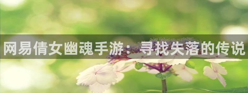 摩根娱乐官网入口网址是什么：网易倩女幽魂手游：寻找失落的传说