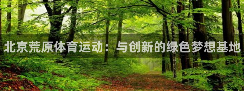 球速体育