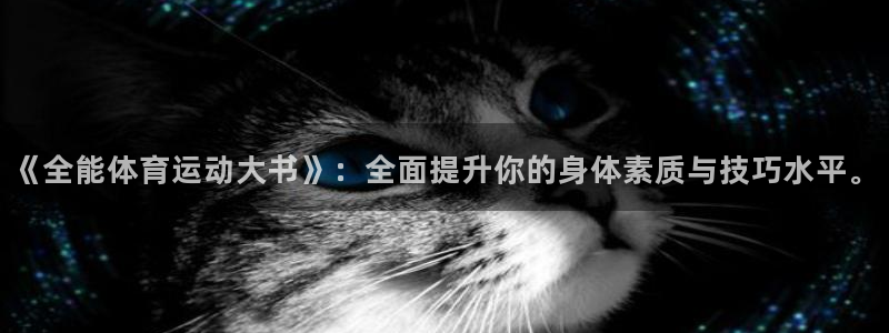 球速体育