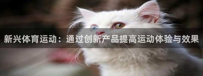 球速体育：新兴体育运动：通过创新产品提高运动体验与效果