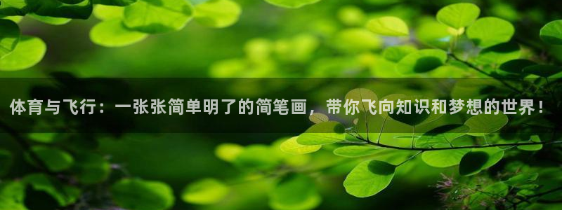 球速体育：体育与飞行：一张张简单明了的简笔画，带你飞向知识和梦想的世界！