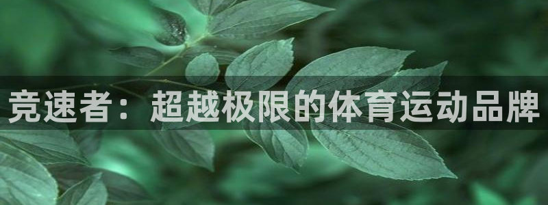 球速体育：竞速者：超越极限的体育运动品牌