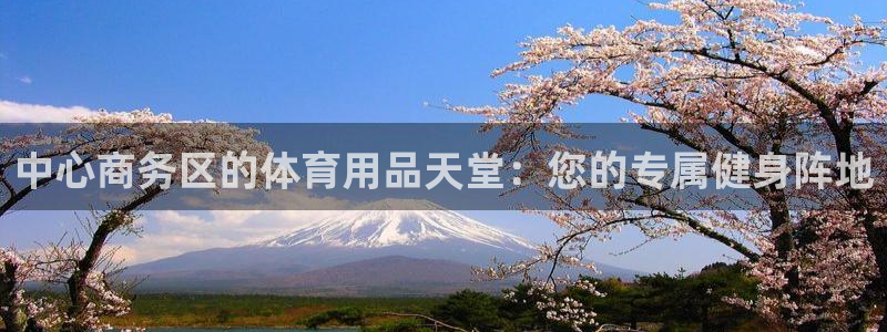 球速体育：中心商务区的体育用品天堂：您的专属健身阵地
