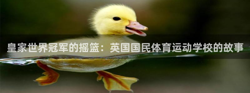 球速体育：皇家世界冠军的摇篮：英国国民体育运动学校的故事
