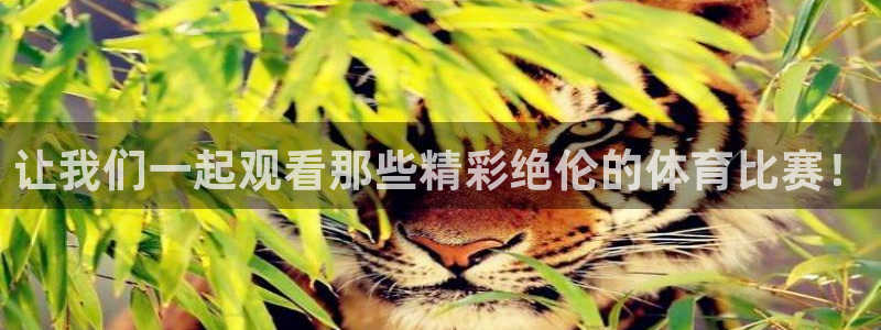 球速体育：让我们一起观看那些精彩绝伦的体育比赛！