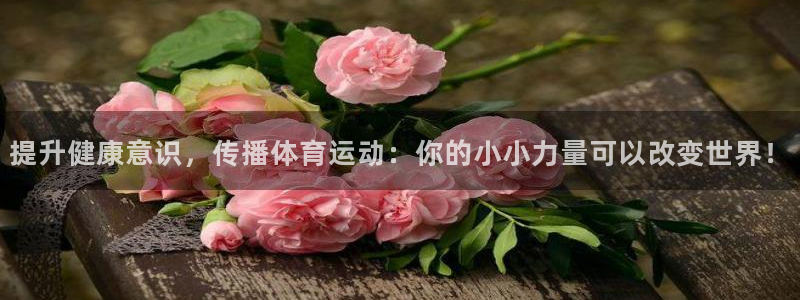 球速体育